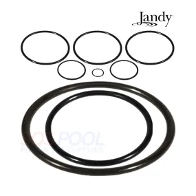 Jandy O-Ring Kit For Fusion Soft Salt Systems | R0502500