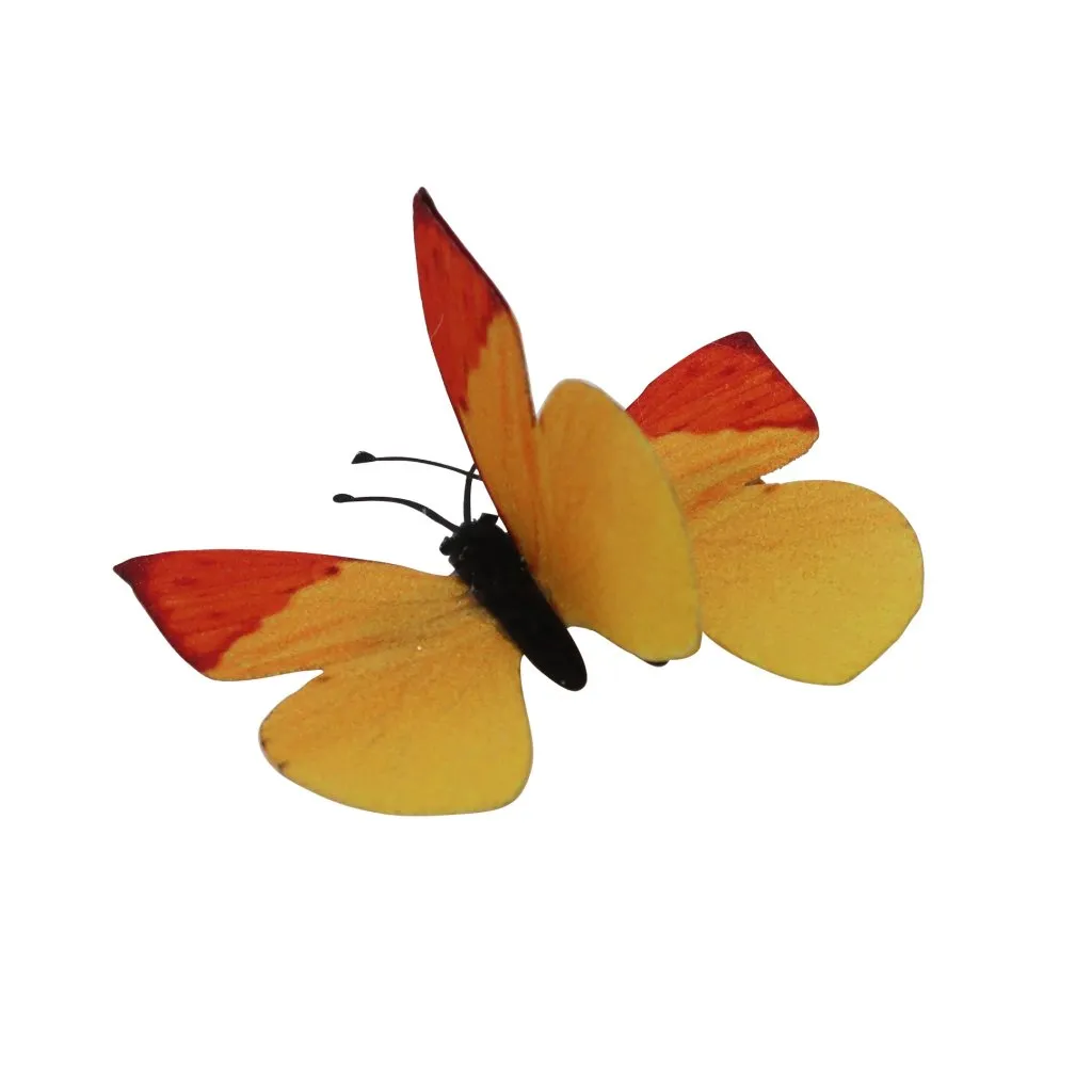 Summer Signatures Small Hairpin